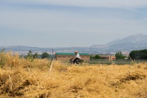 Un homme à vélo à la campagne