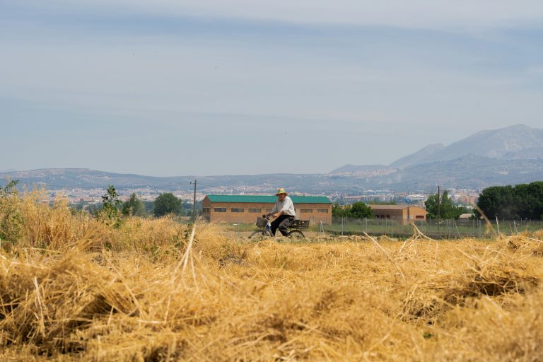 Un homme à vélo à la campagne