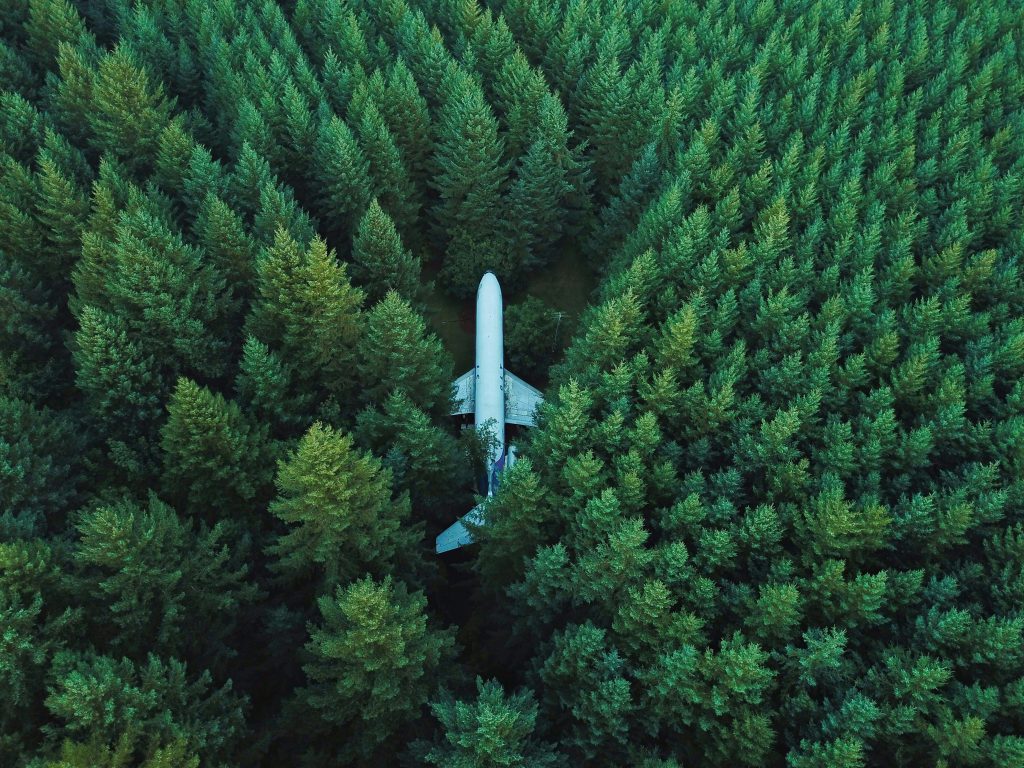 Un avion au milieu de la forêt