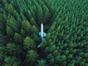 Un avion au milieu de la forêt