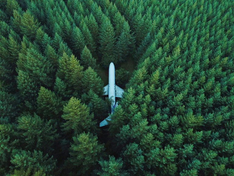 Un avion au milieu de la forêt