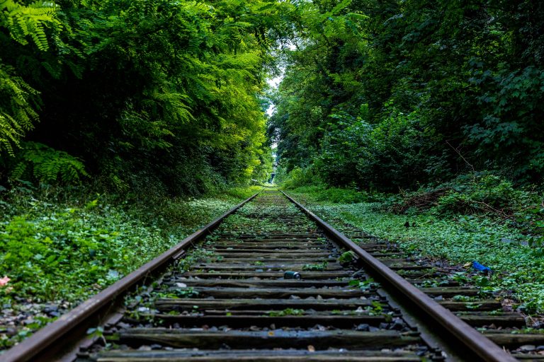 Une ligne de chemin de fer au milieu de la forêt